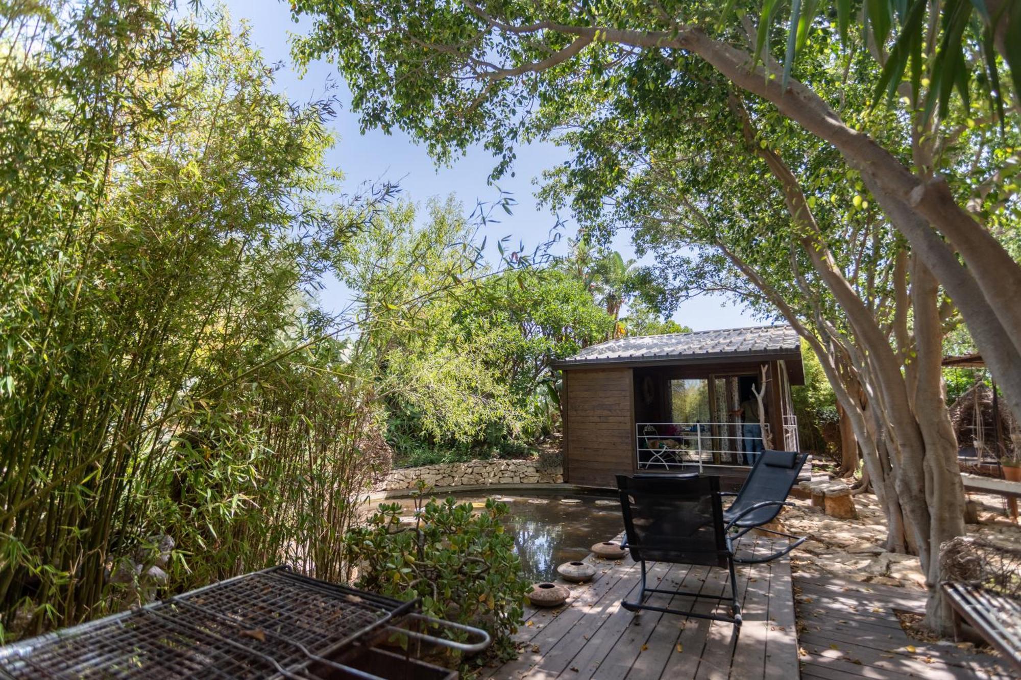 Cottage Sul Lago - Officina Didattica 多纳卢卡他 外观 照片