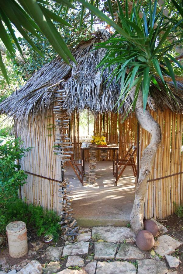 Cottage Sul Lago - Officina Didattica 多纳卢卡他 外观 照片