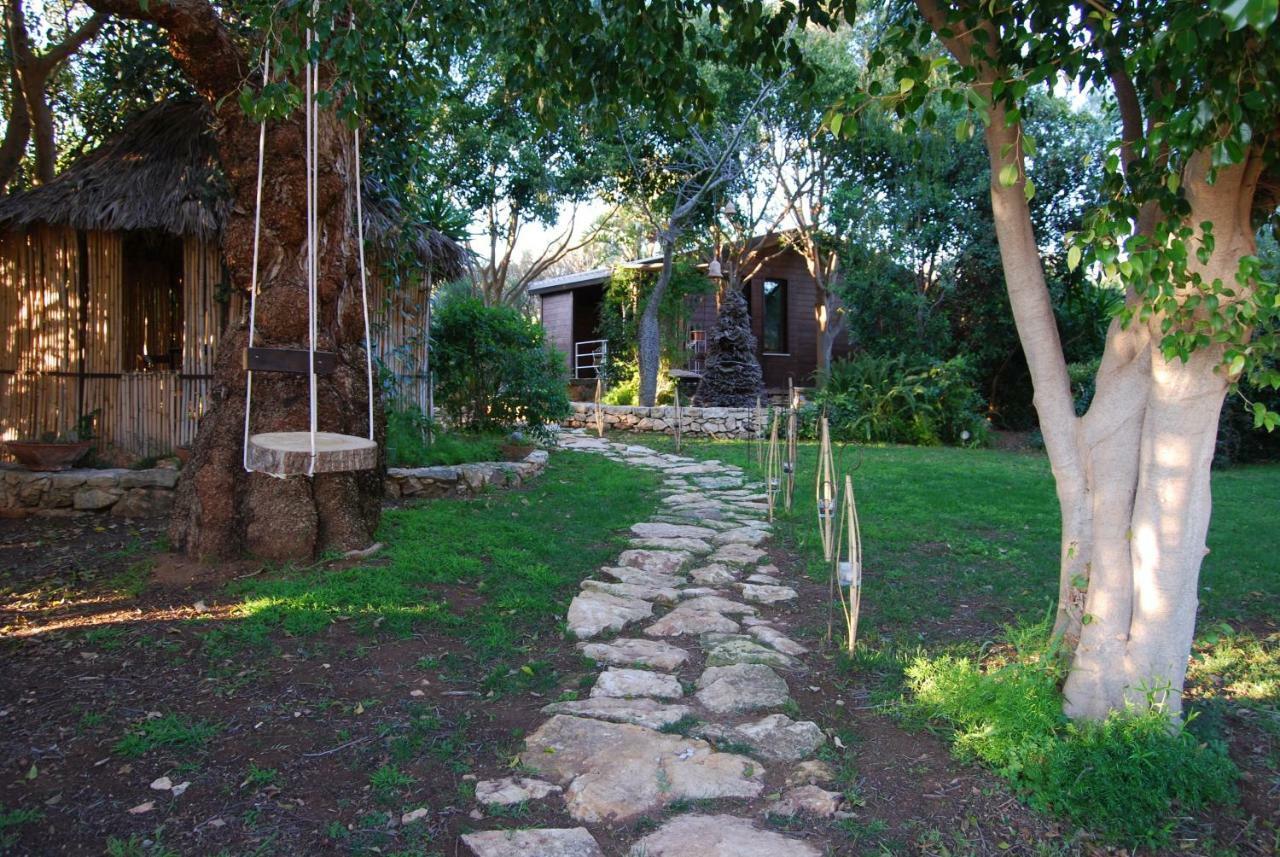 Cottage Sul Lago - Officina Didattica 多纳卢卡他 外观 照片